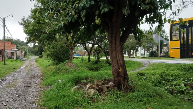 Vecinos de Guerrero piden más iluminación y presencia policial