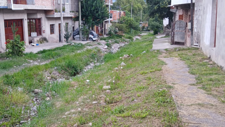 Falta de obras y vecinos que se autogestionan en el barrio 9 de Julio