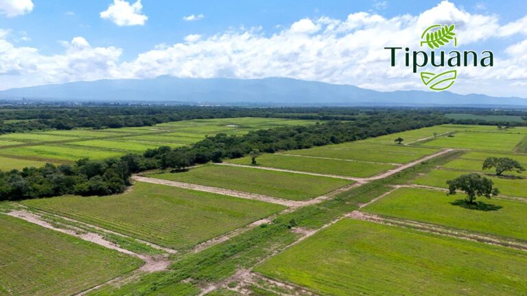 Viernes de Dueños en Marzo!